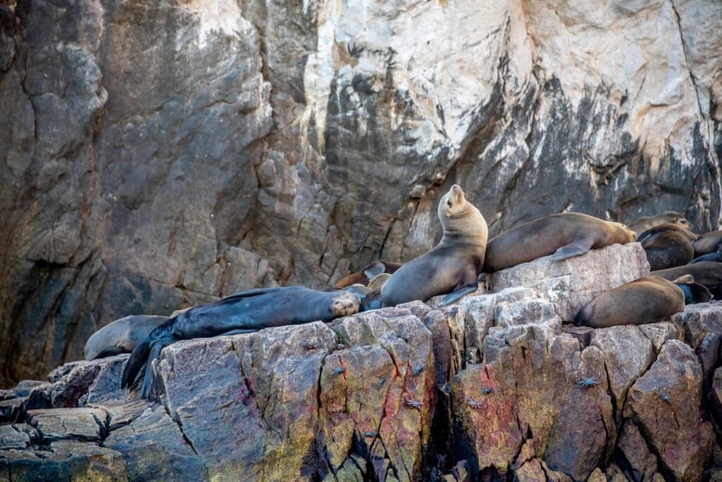 Photo Cabo San Lucas Ruins: Discover Historic Sites - Ruins - Historic Sites