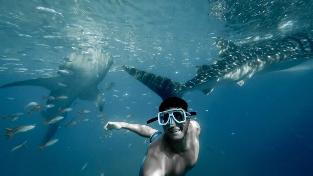 Photo Snorkeling