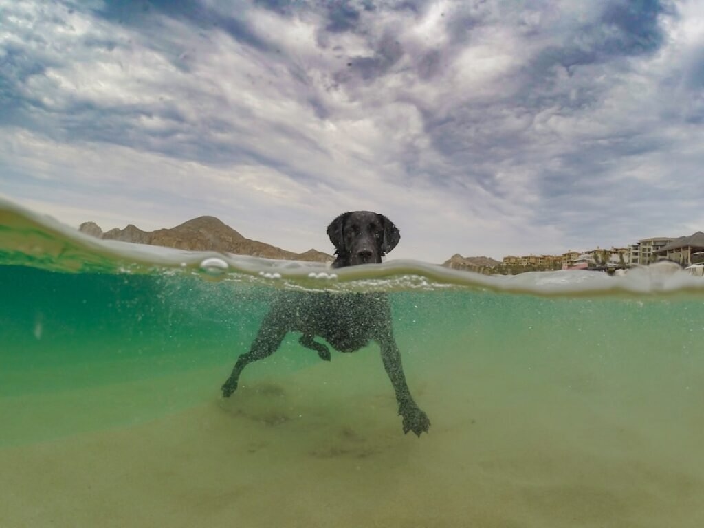 Photo cabo mexico