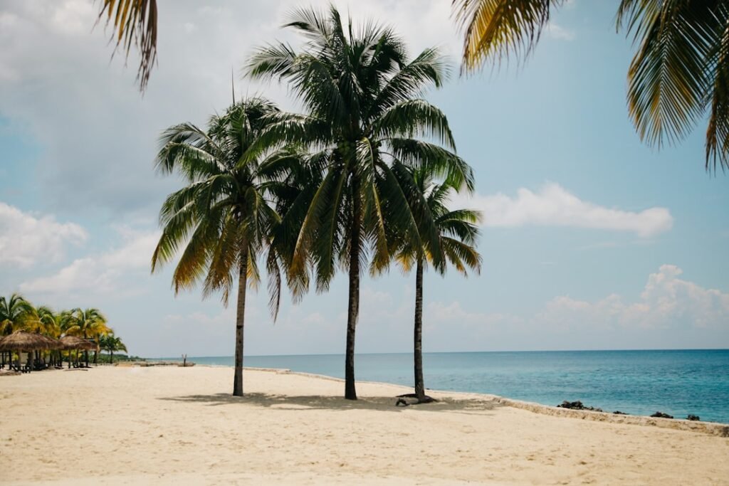 Photo Beach comparison