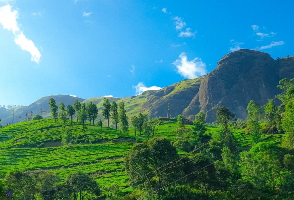 Photo Natural beauty