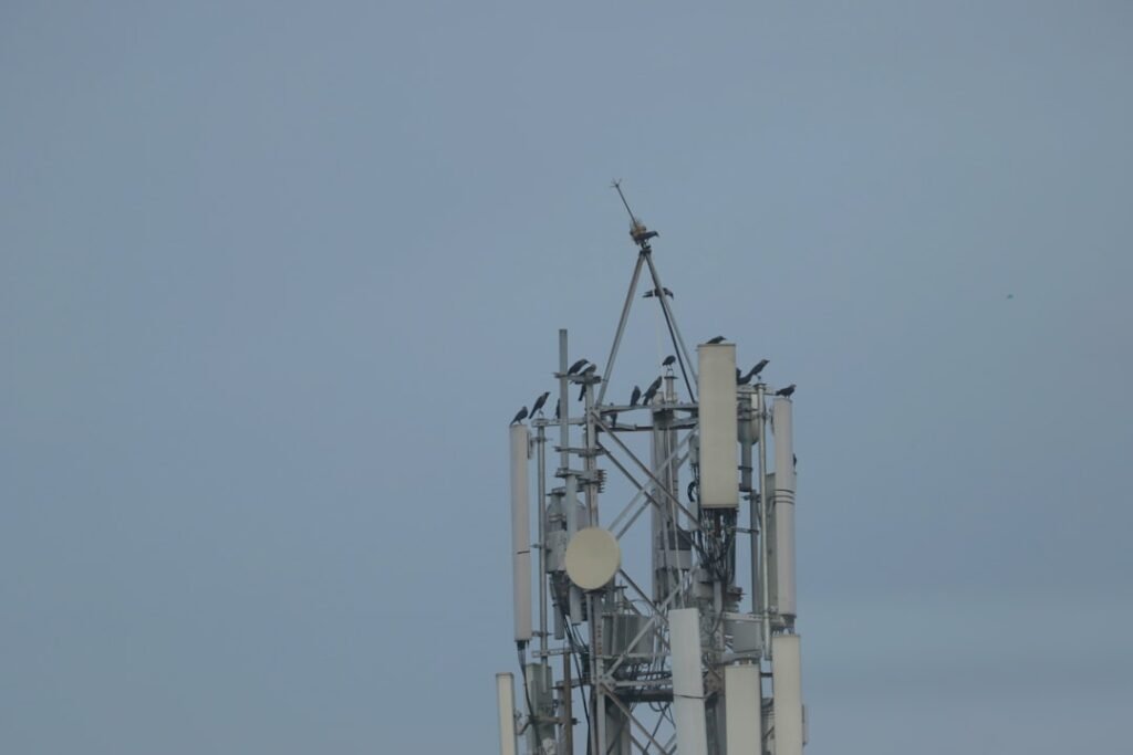 Photo Cellular tower