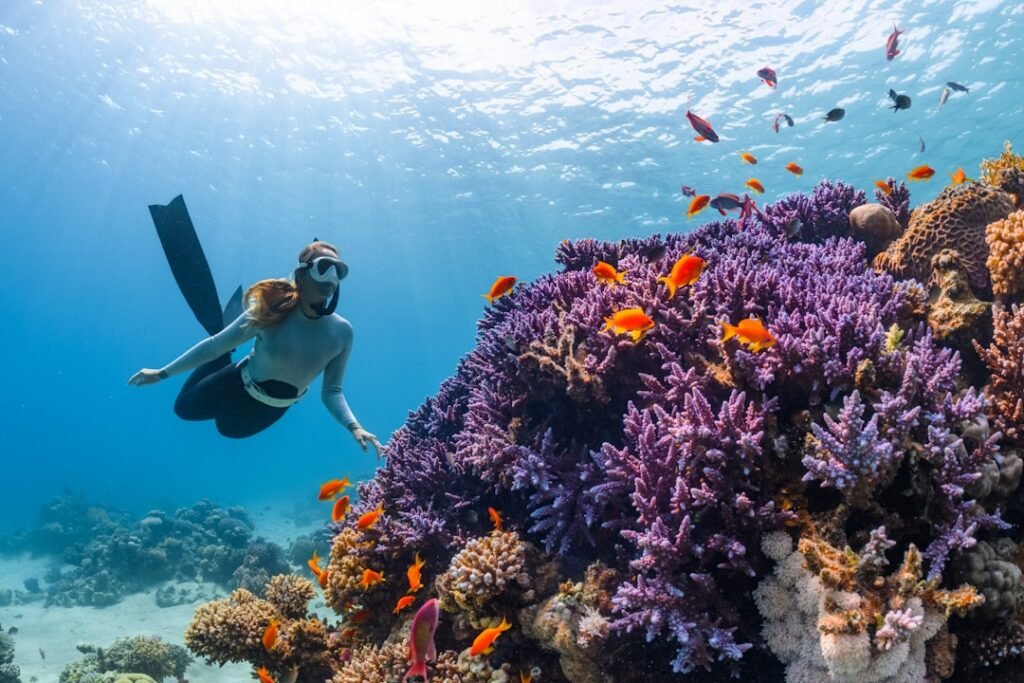 Photo Underwater reef