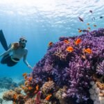 Photo Underwater reef