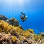 Photo Underwater reef