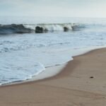 Photo Sandy shore