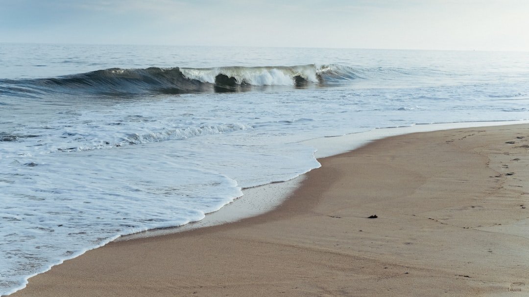 Photo Sandy shore
