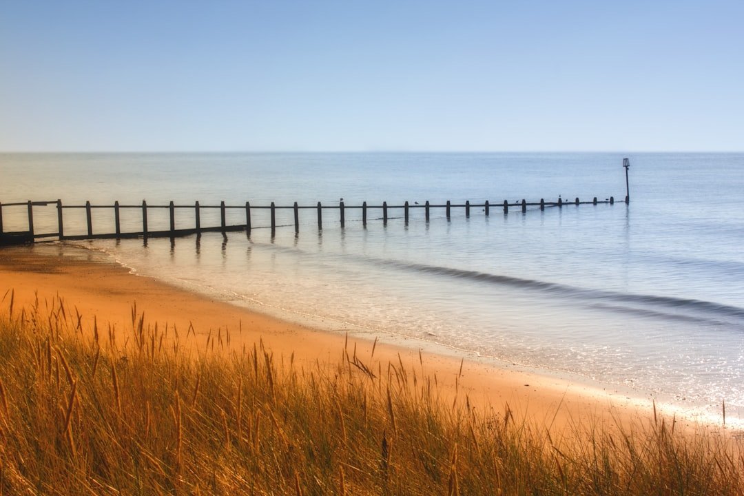 Photo Sandy shore