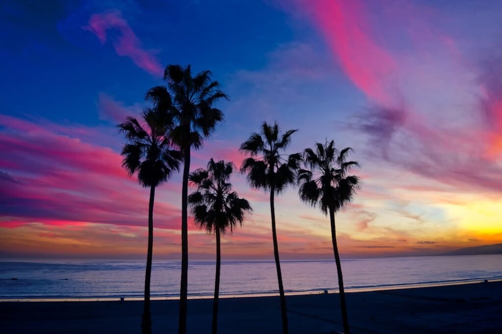 Photo Beach sunset