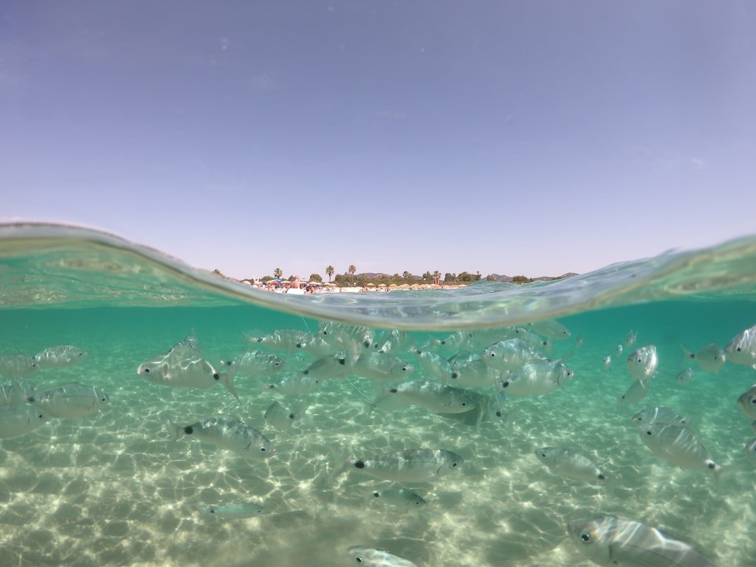 Photo Underwater paradise