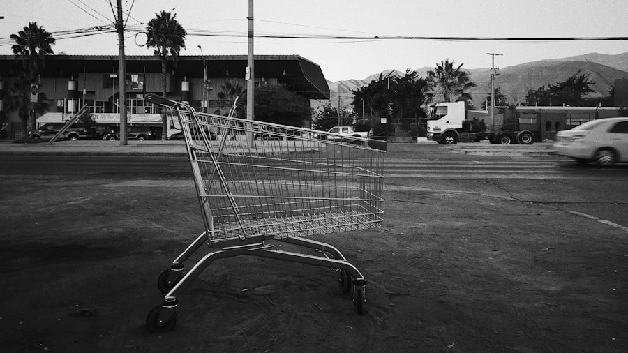 Photo grocery delivery cabo san lucas