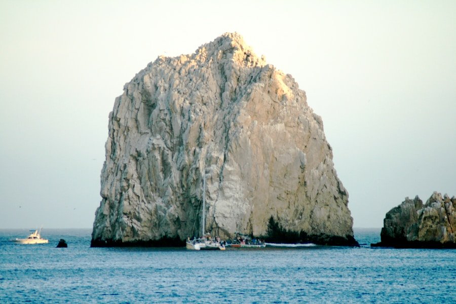 Photo Whale season Cabo San Lucas