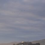 Photo "Cape escorts"