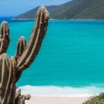 Photo "How much is a trip to Cabo for two?"