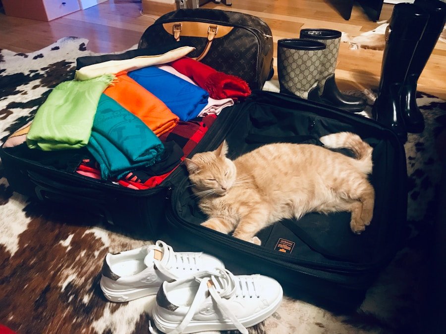 Photo "is cabo safe to travel now"