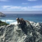 Photo Cabo tour guide