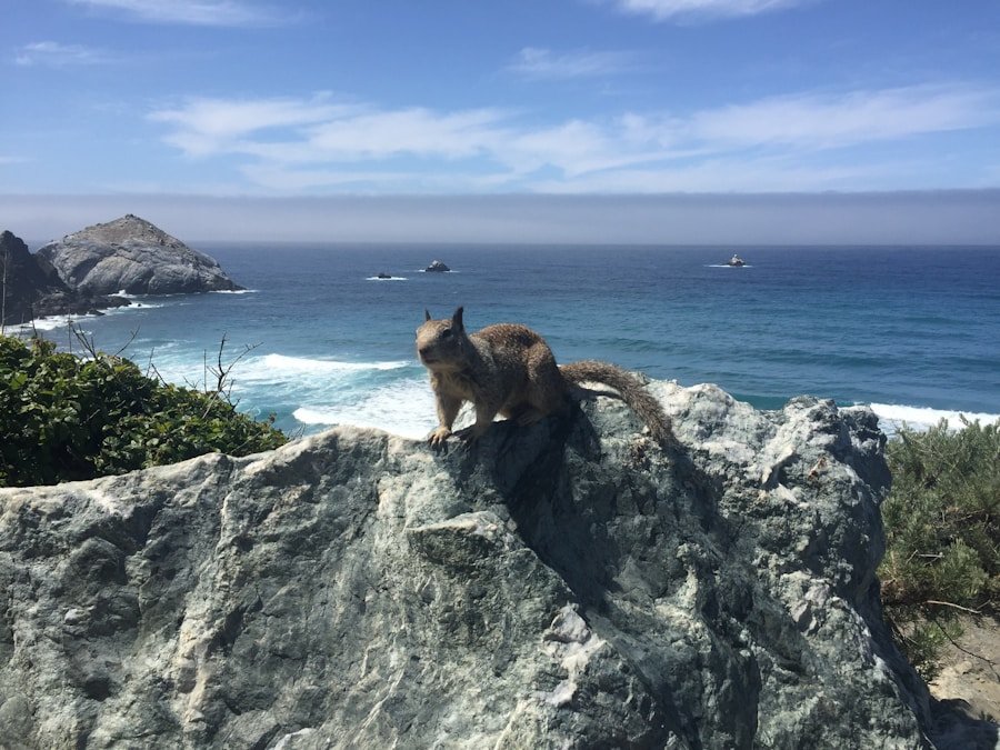 Photo Cabo tour guide