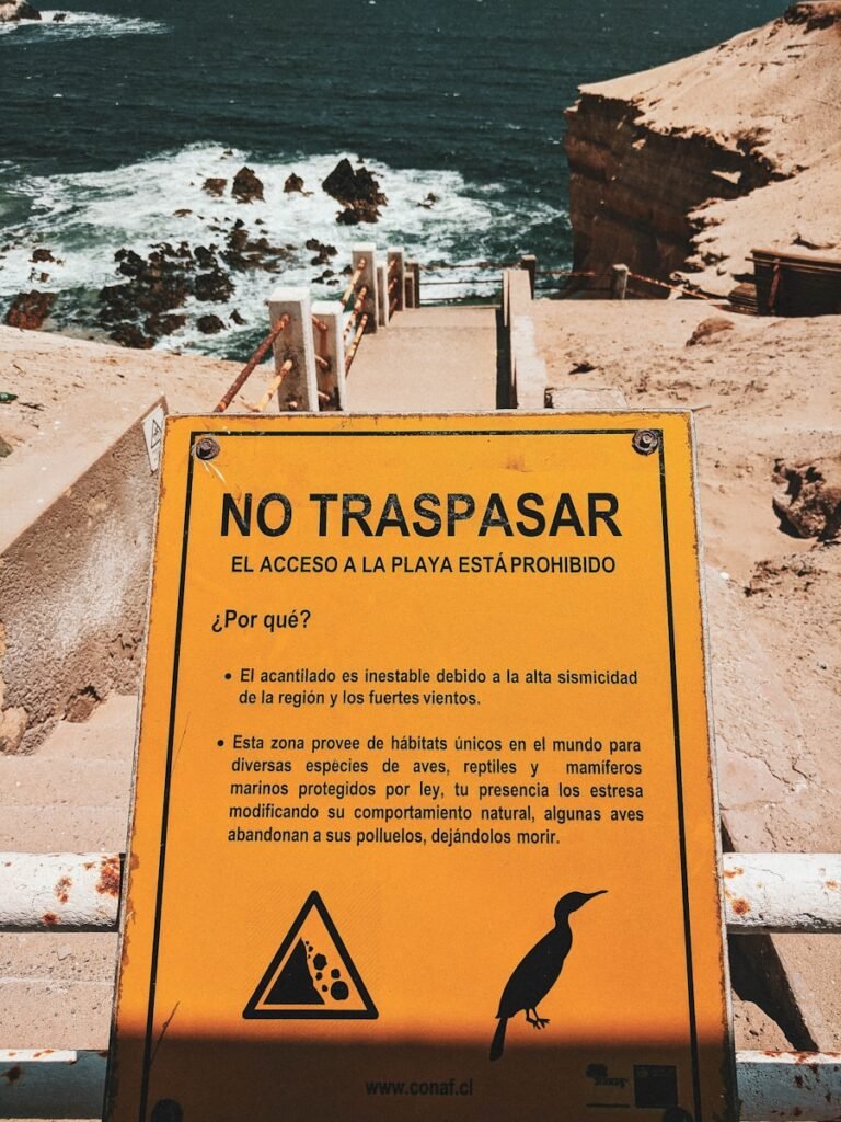 Photo "is cabo safe for families"