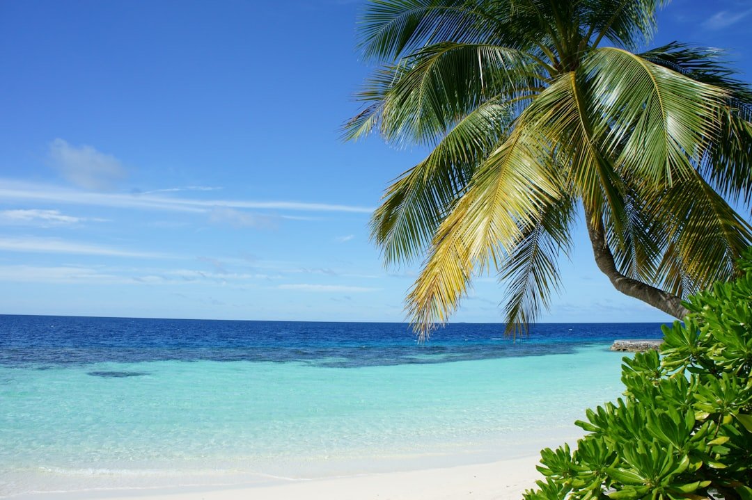 Photo Beach view