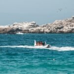 Photo Best way to travel in Cabo San Lucas