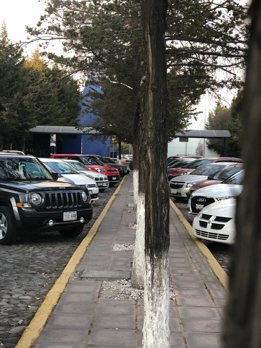 Photo "¿Cabo tiene un aviso de viaje?"