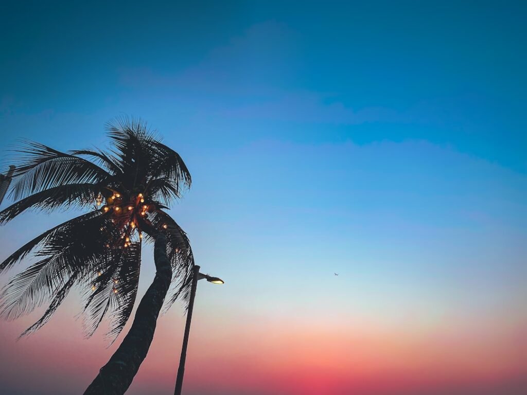 Photo Tropical sunset