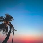 Photo Tropical sunset