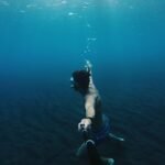 Photo cabo pulmo diving