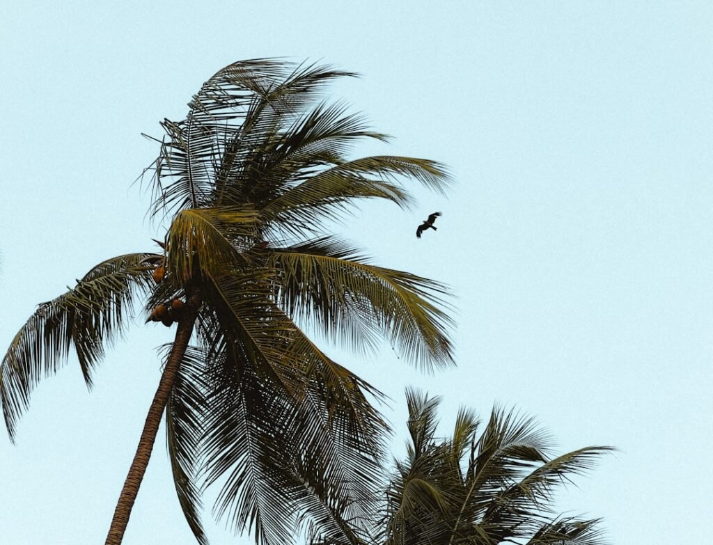 Photo hurricane season