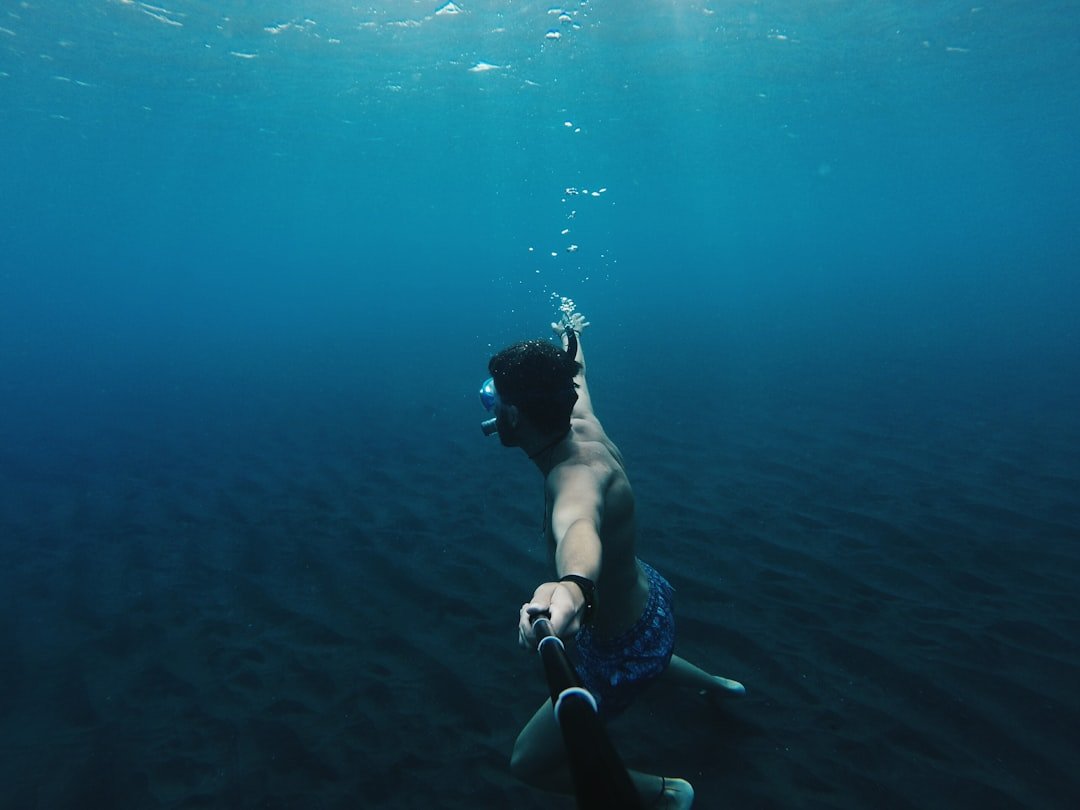Photo cabo pulmo diving