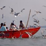 Photo cabo fishing calendar