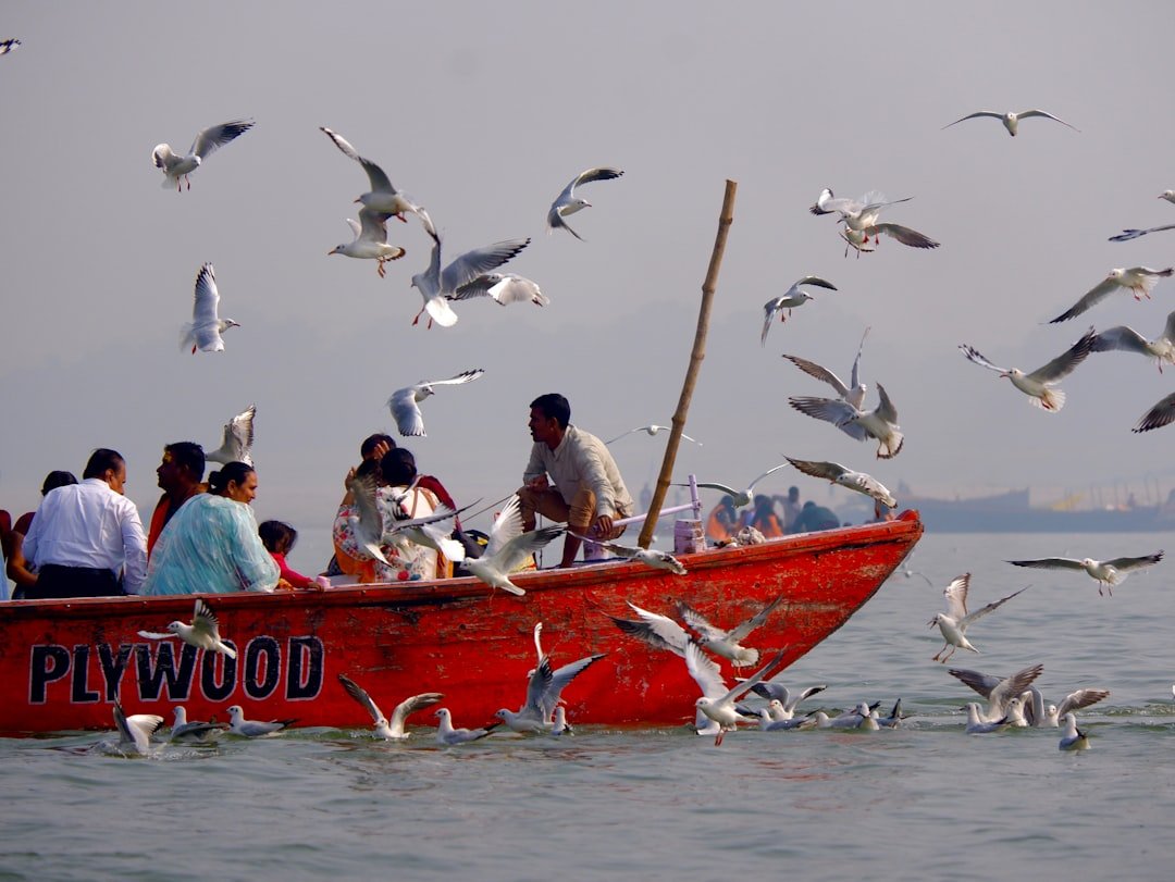 Photo cabo fishing calendar