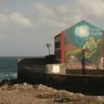 Photo cabo san lucas cartel