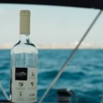 Photo cabo booze cruise