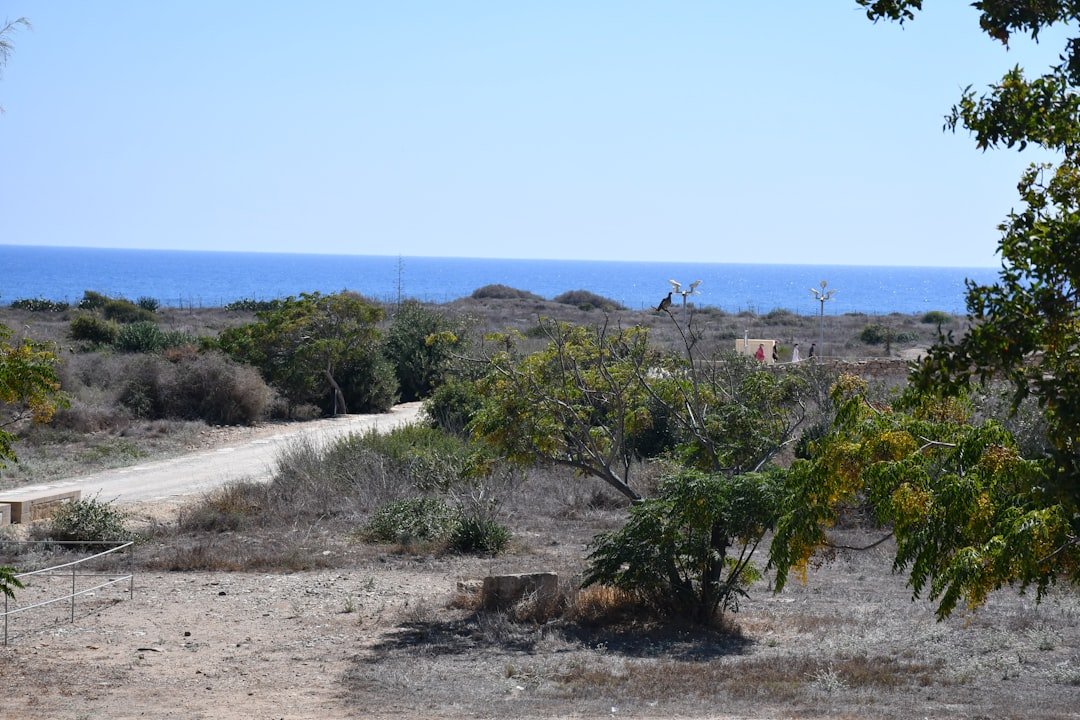 Photo cabo san lucas homes for sale