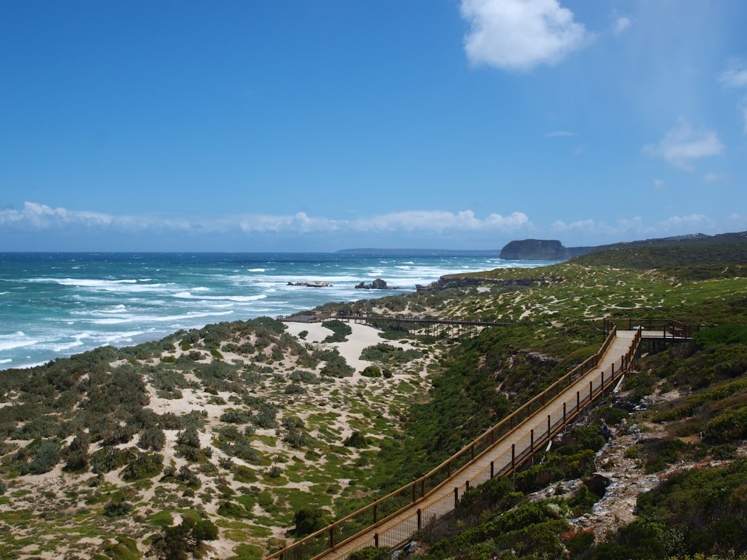 Photo cabo spring break